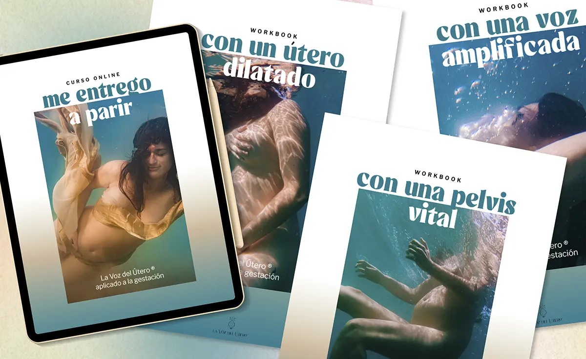 Mock up con varios de los workbooks desarrollados durante Me Entrego a Parir