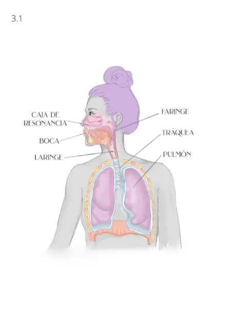 Capitulo 3 - Las Cajas de Resonancia_003
