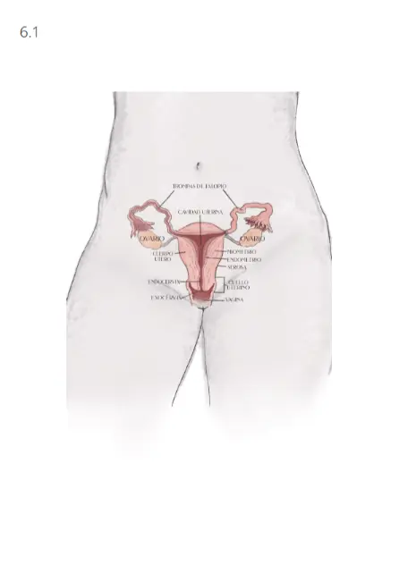 Capitulo 6 - Nuestro Utero_003