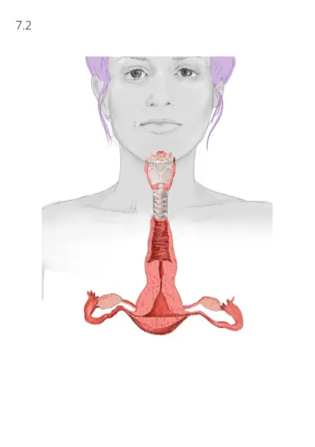 Capitulo 7 . La conexión entre tu Voz y tu Útero_004