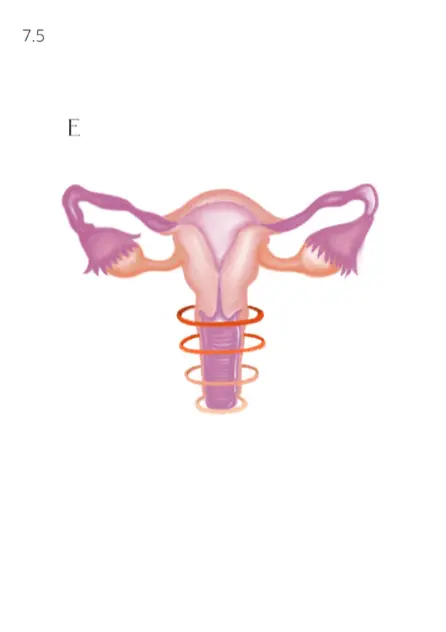 Capitulo 7 . La conexión entre tu Voz y tu Útero_012