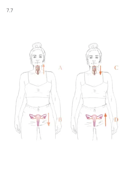 Capitulo 7 . La conexión entre tu Voz y tu Útero_014