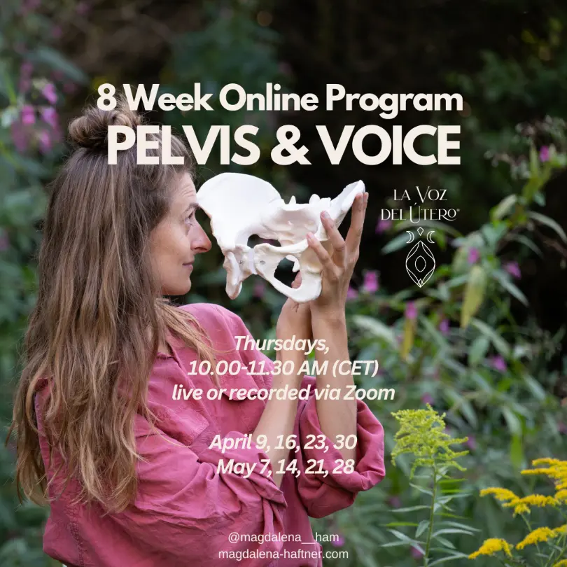 Una mujer con camisa rosa se acerca a la cara un modelo de hueso pélvico. El texto promociona el programa online de 8 semanas de Clara Davaar, Pelvis & Voice, con fechas clave y detalles de Zoom.