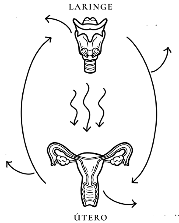 voz-sexual-laringe-utero-infografia